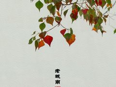 -老门东历史文化街区