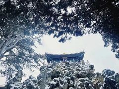 -颐和园