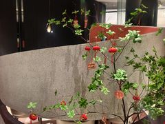 -新兴·金羊座·粤菜点心(乐峰店)