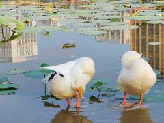 -木塔寺遗址生态公园