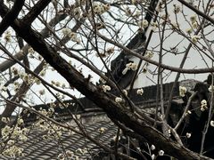 -南京市民俗博物馆(甘熙故居)