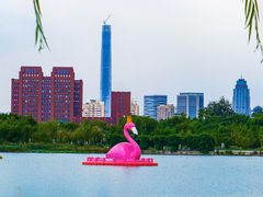 -天津水上公园