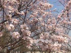 -武清南湖绿博园