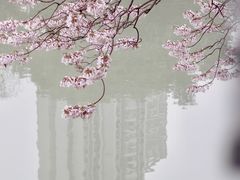 -红星桥(地铁站)