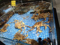 -绿杨春·淮扬宴(庐山路店)