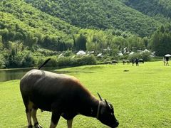 -老李家土菜馆·安吉地标美食