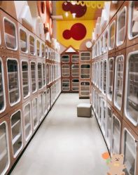 -meland club亲子乐园(重庆万象城店)