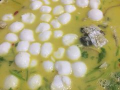 -柘林湖生态鱼馆