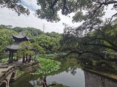 -忠山公园