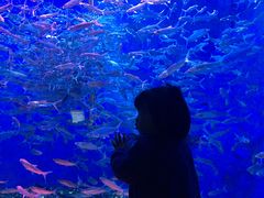 -成都浩海立方海洋公园