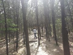 -云龙山