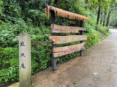 -寂照庵