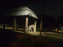 -清迈夜间动物园
