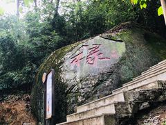-天鹿湖森林公园