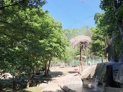 -哈尔滨北方森林动物园
