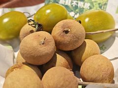 -季季山·云南野生菌火锅(上海首店)