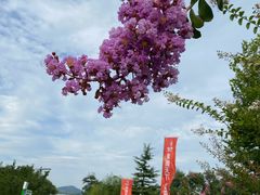 -威海天沐温泉度假区