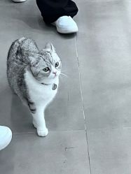 -wow舞蹈培训