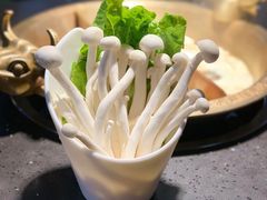 美味海鲜菇-锅说大脸毛肚重庆老火锅(佐阾店)