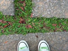 -东莞植物园
