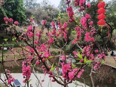-桃花涧