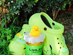-LINLEE林里·手打柠檬茶(王府井APM店)