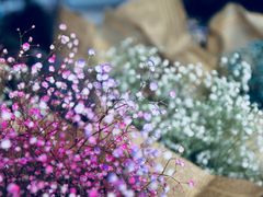 -三圣花乡旅游区