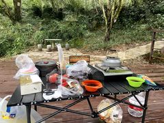 -北仑森林植物园