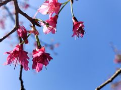 -牛岗山公园