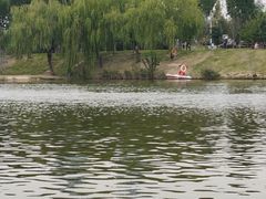 -商丘市人民公园