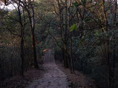 -西湖风景区十里琅珰-五云山