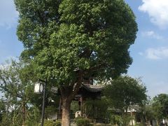 -梁鸿国家湿地公园