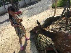 -鹿境梅花鹿生态园区