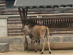 -太原动物园