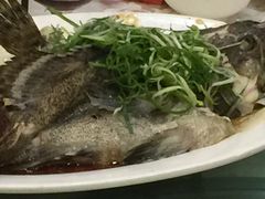 -骏丰酒楼(黄编店)