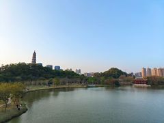 -顺峰山公园