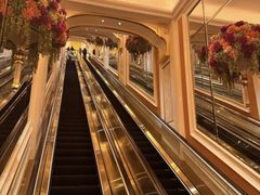 -Chanel(永利皇宫店)