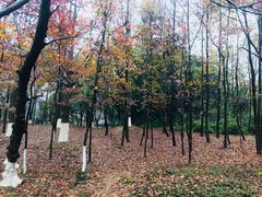 -白马涧龙池景区