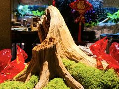 -蟹犇前•帝王蟹雪蟹(陆家嘴店)
