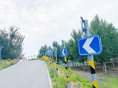 -东郊湿地公园