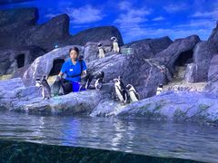 -暹罗海洋世界