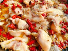 -金三可市井水煮鱼(金碧园店)