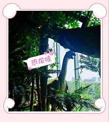 -恐龙探索乐园(磁器口店)