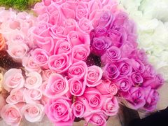 -双季花艺园艺市场(浦东店)