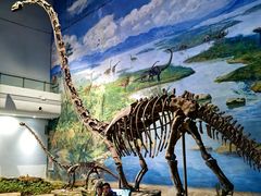 -自贡恐龙博物馆