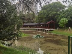 -堤角公园
