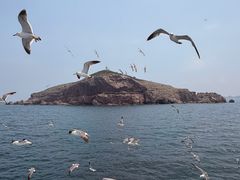 -海驴岛(荣成市)