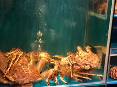 -蟹田居·活蟹料理(东城店)