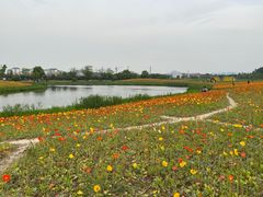 -径山花海