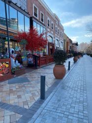 -菜百首饰(朝阳店)